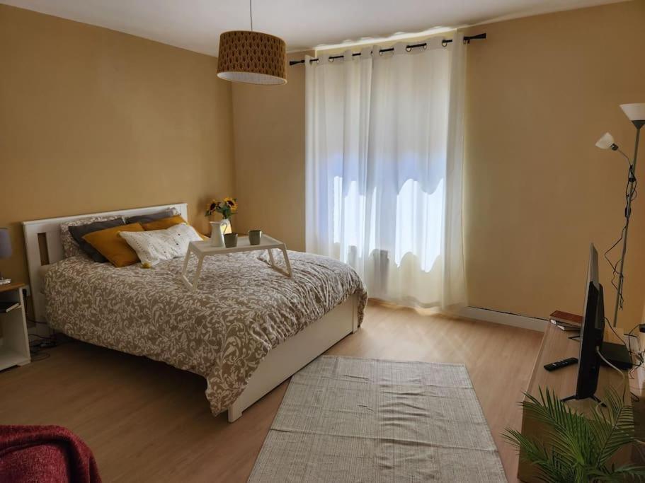 Moderno Apartamento Cerca Del Centro En León Zewnętrze zdjęcie